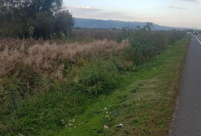 Teren de 3940 mp, în Simeria - 6