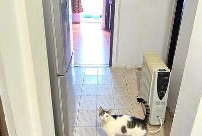 Apartament 3 camere decomandat, Mircea cel Batran, aproape de bvd. Apartament 3 camere decomandat, Mircea cel Batran, aproape de bvd. - 2