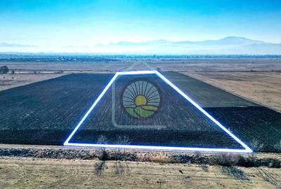 TEREN STUPINI-COMISION 0 - 3