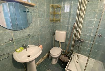 Casă cu 1 camere cu Teren 100 Mp în Someșeni - 8