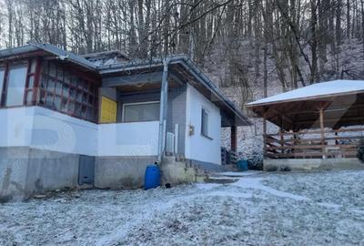 Casa si teren zona pitoreasca - 11