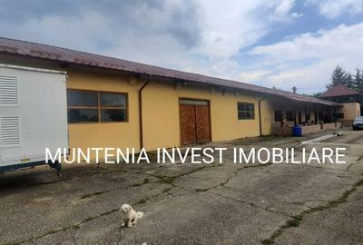 Casă cu 4 camere în Băjești - 11