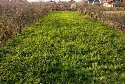 RECO Teren Unicat Sosea Nojorid - 9