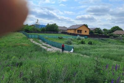 Teren de 500 mp, în Moara Grecilor
