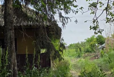 Casa bătrânească pe Malul Garlei Moara Vlasiei 2 - 3