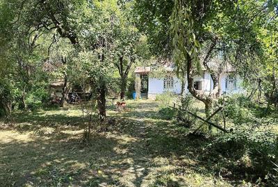 Casă cu 1 camere cu Teren 970 Mp în Poiana - 5