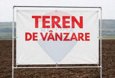 Teren intravilan de 25800 mp, în Cadaș - 2