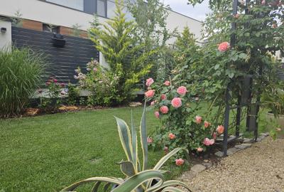 Vila superba in Paradisul Verde Corbeanca - 9