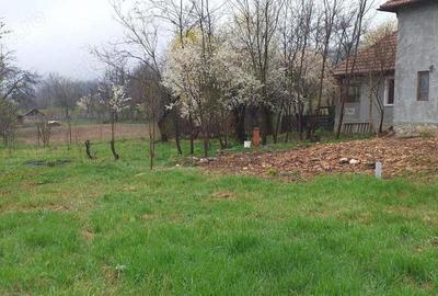 Casă cu Teren 1366 Mp în Central - 10