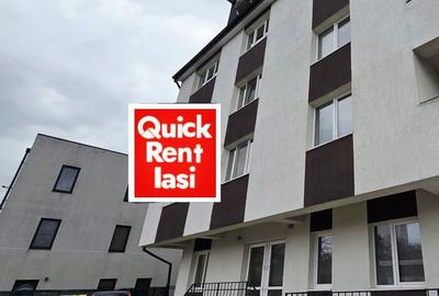 Spațiu comercial, de 47 mp, în Podu Roș - 1