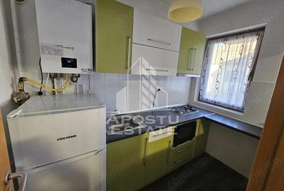 Apartament 1 camera, Centrala proprie , Dumbravita - 5