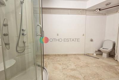 Spațiu industrial, de 115 mp, în Romană - 6