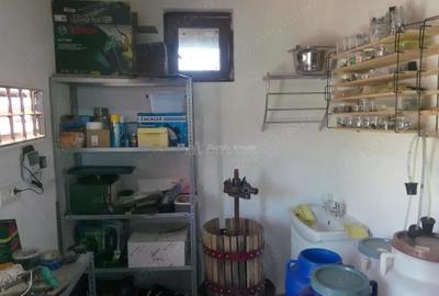 Casa pe malul lacului Paleu teren 510 mp - priveliste deosebita - 6