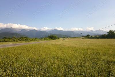 Teren de 1800 mp, în Cârțișoara - 4