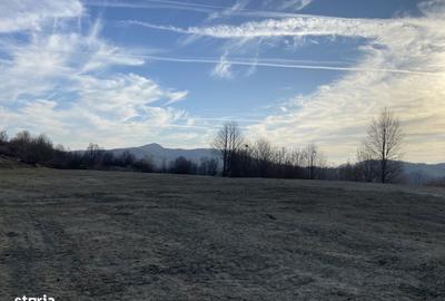 Teren de 1288 mp, în Central - 3