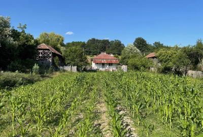 Casă cu 3 camere în Central - 4