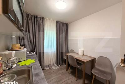 Apartament cu 2 camere decomandat în Brazda lui Novac - 11