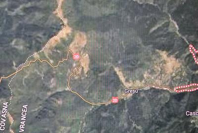 Teren de vanzare Lepsa-Gresu, 55000 mp - 8