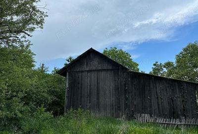 Casă cu 5 camere în Central - 7