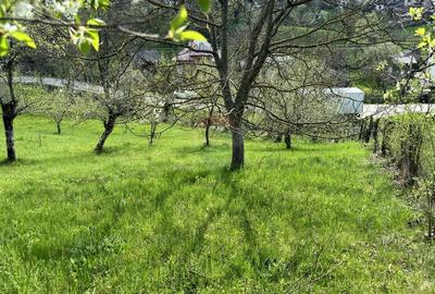 Teren Albesti Arges - Ultracentral Teren Albesti Arges - Ultracentral - 15