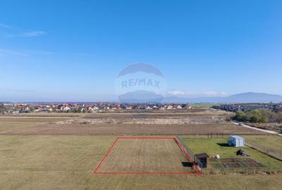 Teren Harman, Strada Henri Coanda, 1000mp Teren Harman, Strada Henri Coanda, 1000mp - 7