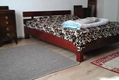 Apartament cu 2 camere la casa in Cristian - 9