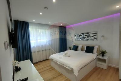 Garsonieră semidecomandată în Terezian - 1