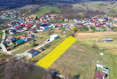 BUDESTI - TEREN 2550 MP - 1