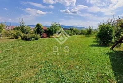 Teren intravilan 983 mp + cabana, curent trifazic, Zona linistita - 2