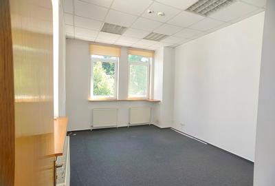 Vila de inchiriat Cismigiu Stirbei Voda - 14