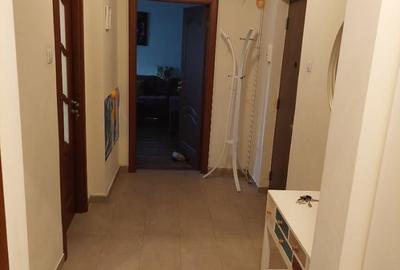 Apartament cu 2 camere decomandat în Nerva Traian - 8