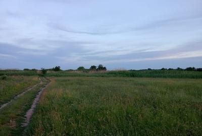 Teren intravilan de 9600 mp, în Ciocănești - 14