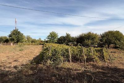 Casă cu 4 camere în Perișoru - 5