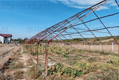 Ferma 3,3ha, din care 2,5ha intravilan, vila 7 camere, D+P+E+M, casa pentru munc Ferma 3,3ha, din care 2,5ha intravilan, vila 7 camere, D+P+E+M, casa pentru munc - 13