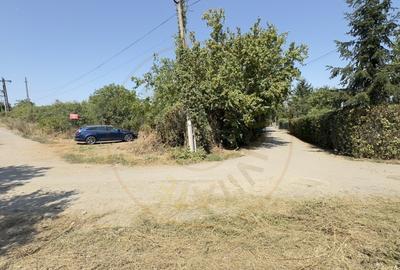 De vanzare Teren extravilan 2000 mp Carei - Gradina Viilor, Valea Tireamului - 8