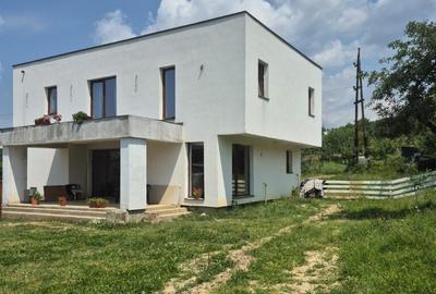 Str. Corbului, casa P+1, 30 ari teren - 4