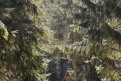 Spațiu comercial, în Vale - 7