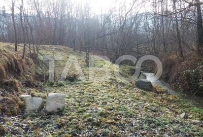 Teren intravilan 8000 mp cu anexa gospodareasca in Vistisoara - 6