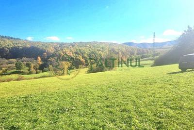 Teren in Rasinari, Sibiu 3010 mp cu priveliste superba - 5