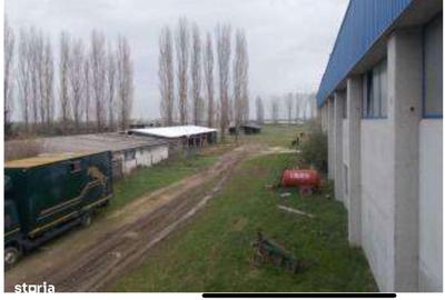 Spațiu comercial, de 91,412 mp, în Jebel - 7