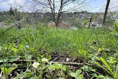 Teren Albesti Arges - Ultracentral Teren Albesti Arges - Ultracentral - 8