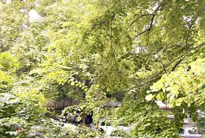 Apartament cu 2 camere semidecomandat în Viziru 3 - 1