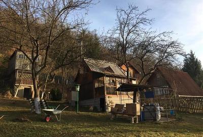 Casă individuală cu 2 camere în Bodoc