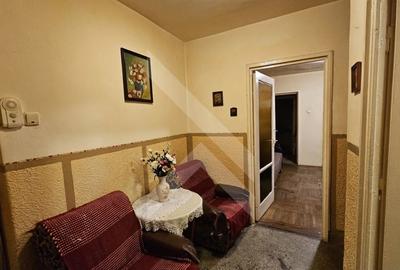 Apartament cu 2 camere semidecomandat, mobilat în Hunedoara - 8