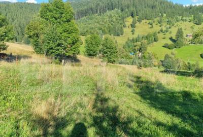 Teren intr-o zona superba din Campulung Moldovenesc - 2