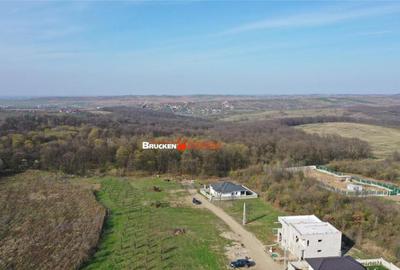 LOC DE CASA LANGA PADURE - 3