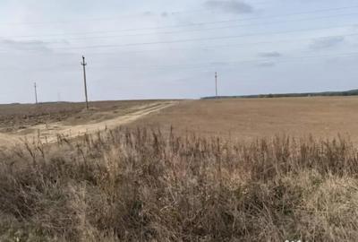 Teren de 5000 mp, în Malu Mare - 2