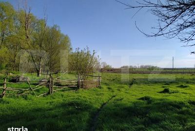 Teren de 29600 mp, în Șimnicu de Sus