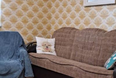 Vedere Dunare - Apartament 3 camere Calarasilor, mobilat uti - 4