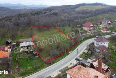Teren de 2674 mp, în Cepari - 8